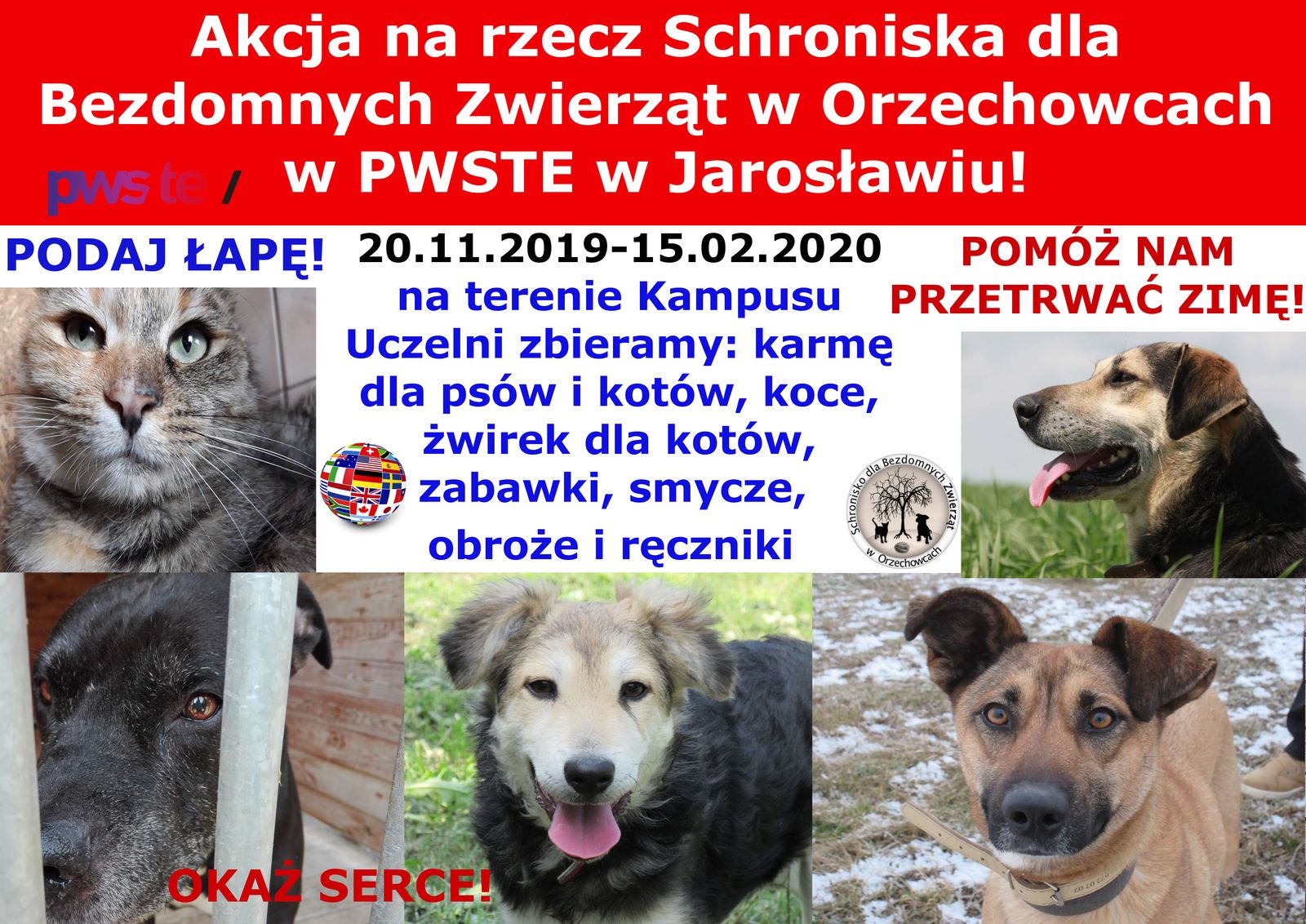 schronisko 2019 2020