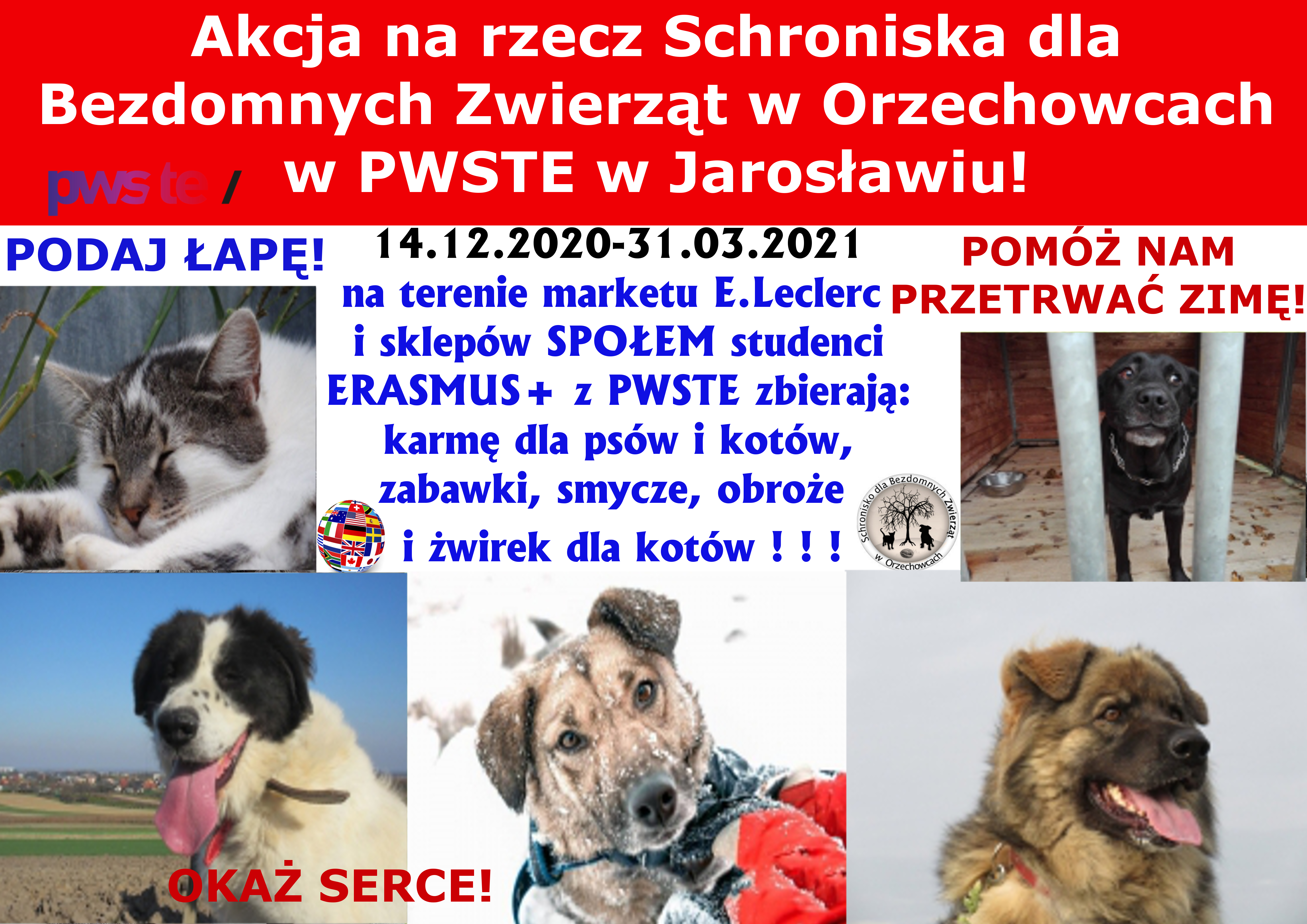 GJ schronisko 2020