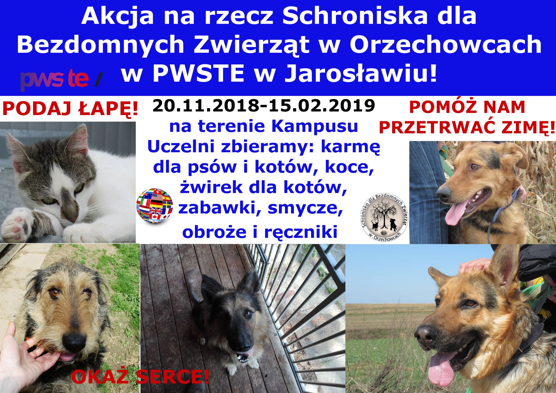 schronisko 2018 2019 niebieski str