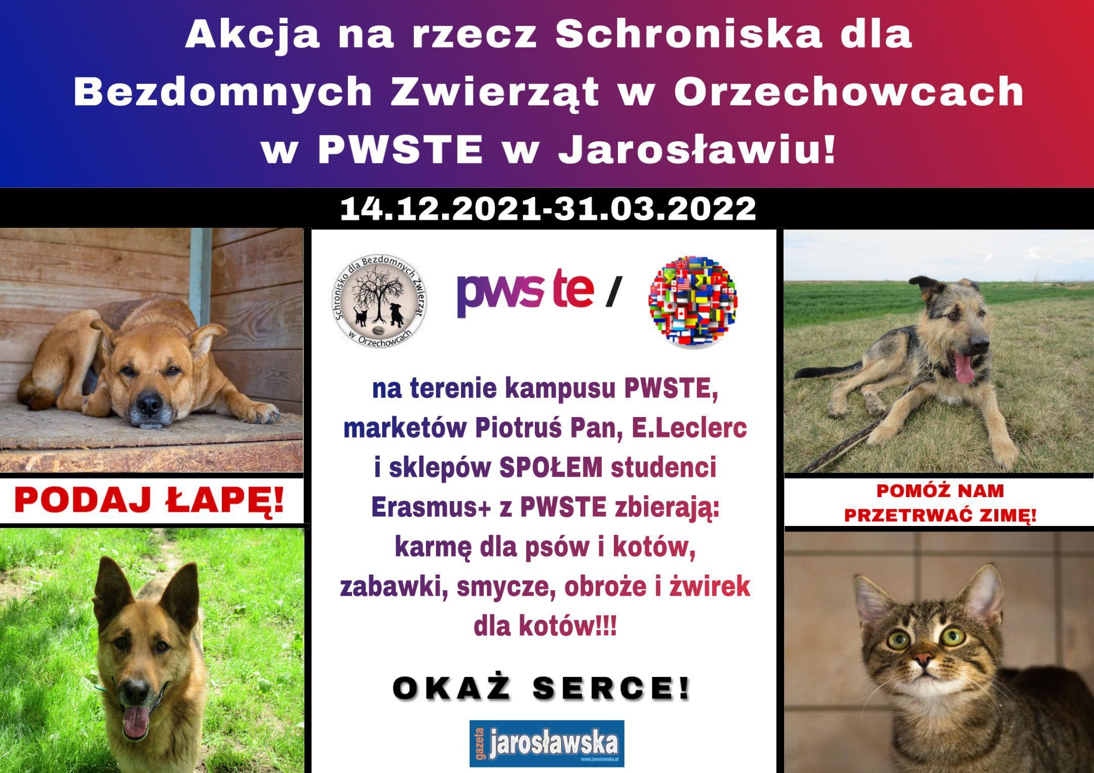 PWSTE