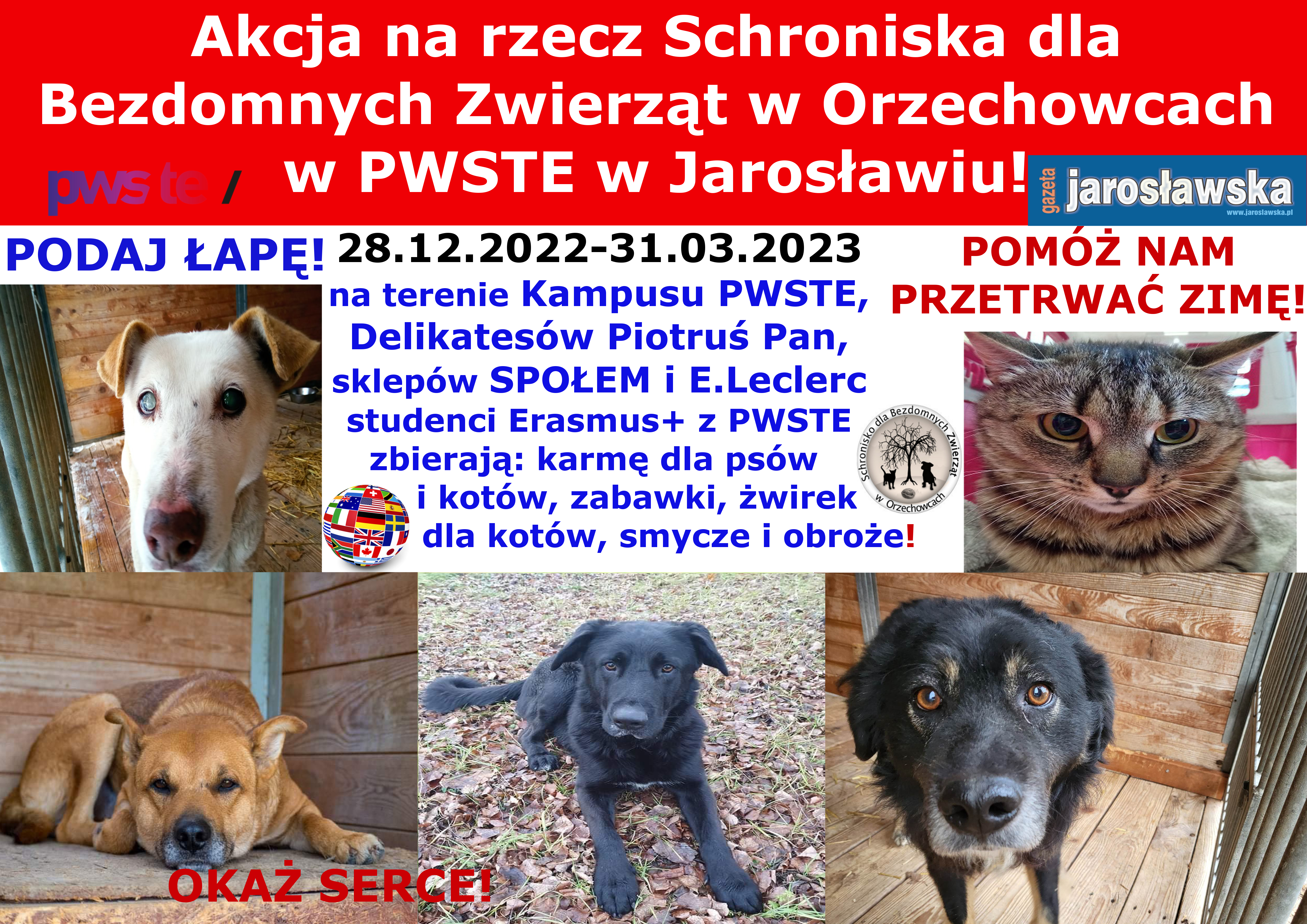 ok PWSTE schronisko 2022