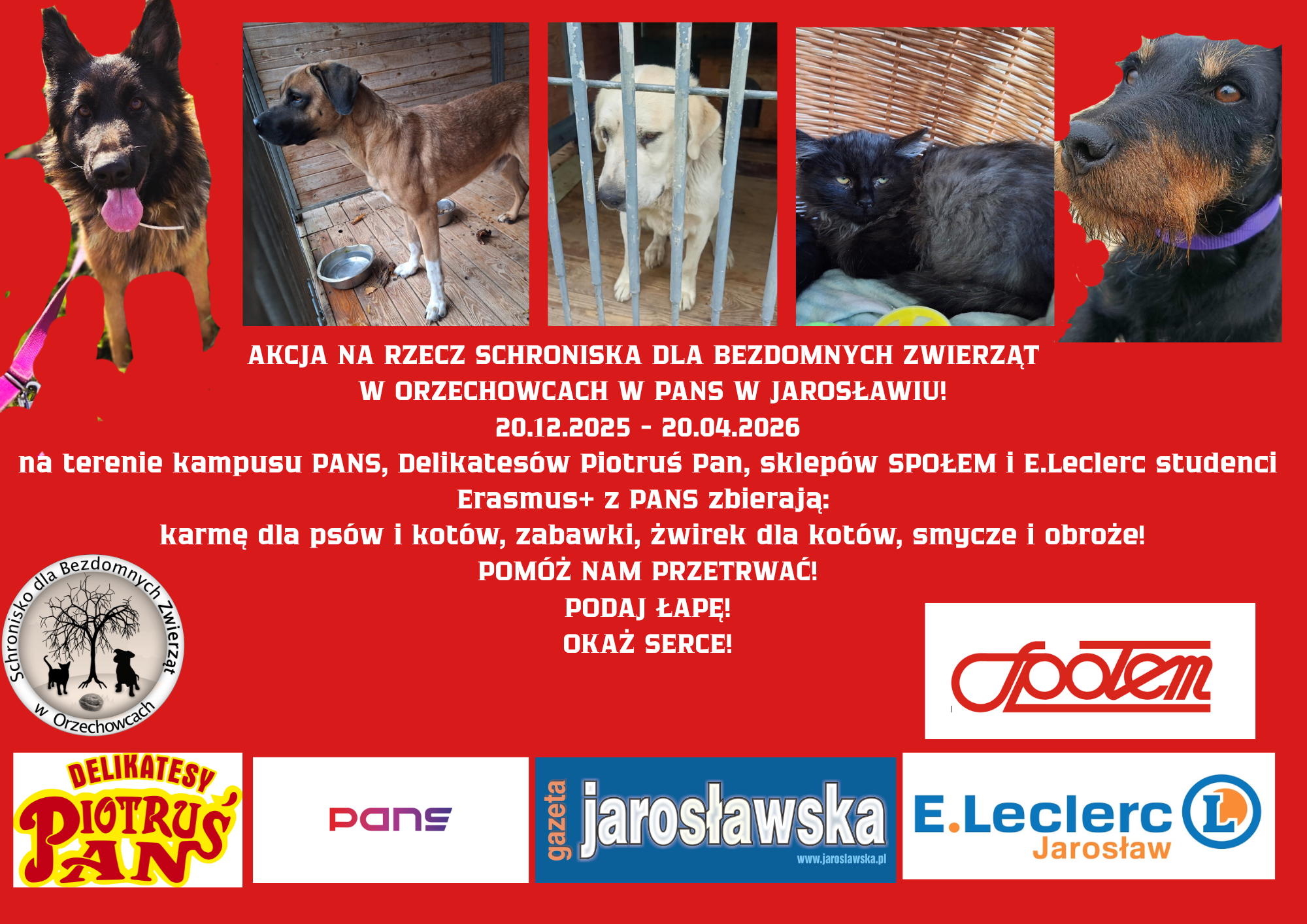 AKCJA NA RZECZ SCHRONISKA DLA BEZDOMNYCH ZWIERZT W ORZECHOWCACH W PANS W JAROSAWIU 20122025 20042026 na terenie kampusu PANS D