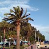 Yevheniia Nazarik na praktykach w Hiszpanii realizuje PROGRAM ERASMUS+ w hotelu Alba Seleqtta, Lloret de Mar 17.06.2016-15.09.2016
