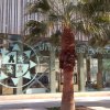 Jola Krasula podczas studiów na Universidad Politécnica de Cartagena z Erasmusem+ w semestrze letnim 2017/2018