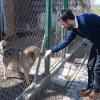 Finał akcji na rzecz bezdomnych zwierząt z Orzechowiec
