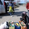 Finał akcji na rzecz bezdomnych zwierząt z Orzechowiec
