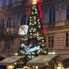 Absolwent PWSTE - Maksymilian Głód na praktykach Erasmus+ w Austrii w Wiedniu