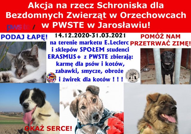 II WIZYTA U KOCHANYCH ZWIERZAKÓW  ZE SCHRONISKA W ORZECHOWCACH - 05.03.2021 r.