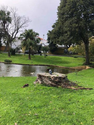 Prezentujemy fotorelację Bohdana Povarennykha, studenta II roku zarządzania PWSTE z Jarosławia, który przebywa na studiach w ramach programu Erasmus+ na University of Azores w Portugalii przez cały rok akademicki 2020/2021 ! ! !