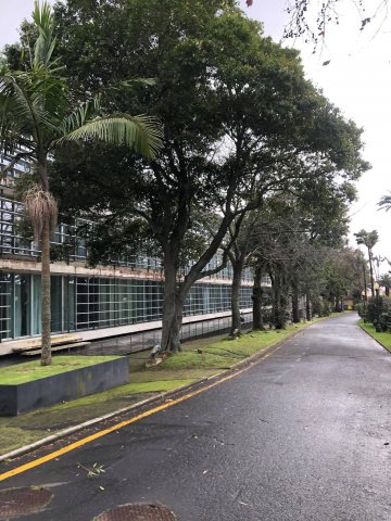 Prezentujemy fotorelację Bohdana Povarennykha, studenta II roku zarządzania PWSTE z Jarosławia, który przebywa na studiach w ramach programu Erasmus+ na University of Azores w Portugalii przez cały rok akademicki 2020/2021 ! ! !