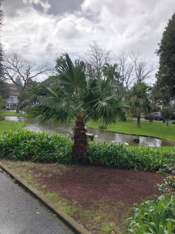 Prezentujemy fotorelację Bohdana Povarennykha, studenta II roku zarządzania PWSTE z Jarosławia, który przebywa na studiach w ramach programu Erasmus+ na University of Azores w Portugalii przez cały rok akademicki 2020/2021 ! ! !