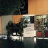 Wrażenia Jakuba Lęcznara, studenta PWSTE z pobytu ze studiów w ramach Erasmus+ na Politècnica de València w Hiszpanii