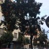 Wrażenia Jakuba Lęcznara, studenta PWSTE z pobytu ze studiów w ramach Erasmus+ na Politècnica de València w Hiszpanii
