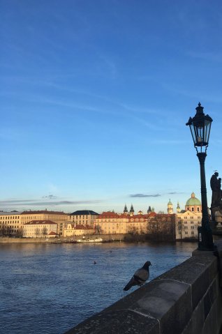 Maryna Tieriekhova na studiach na Metropolitan University Prague!