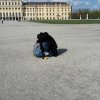Foreign Erasmus+ students in PWSTE getting to know Wien